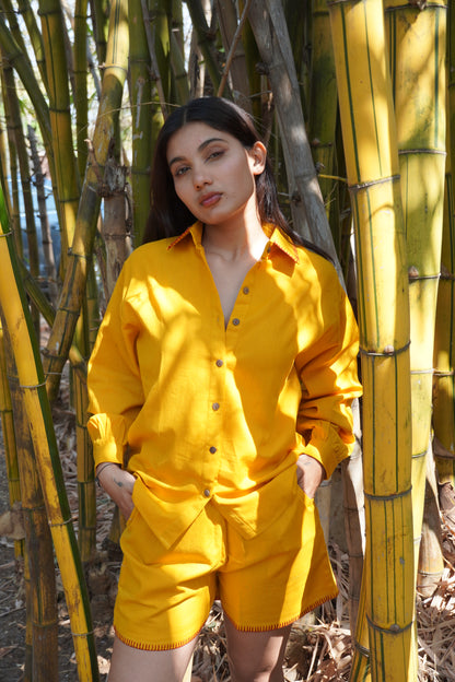 AMBER